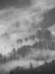 Transmigration: Feel