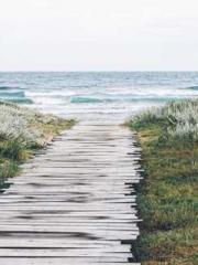 RONG Zhaonan NING Yu