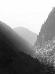 lt;Liang Yimo Cold N