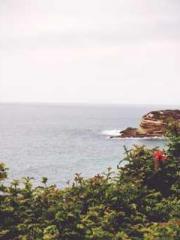 Meng Jinyu Gu Jingxi