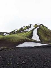 Becoming a solitary 
