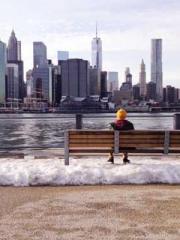 Two Treasures Arrive